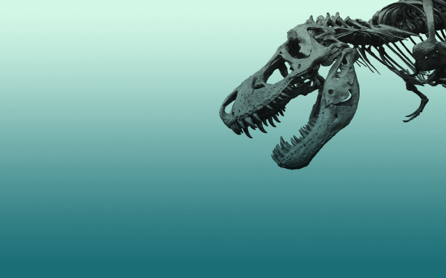 Dinosaur skeleton long neck sharp free wallpaper for desktop - medium preview image