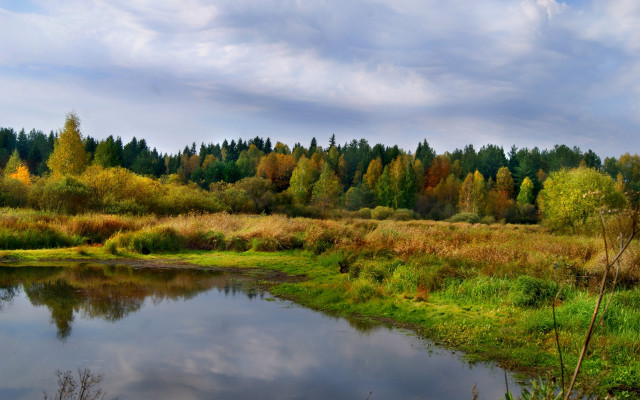 River forest autumn cloudy sky free wallpaper for desktop - medium preview image