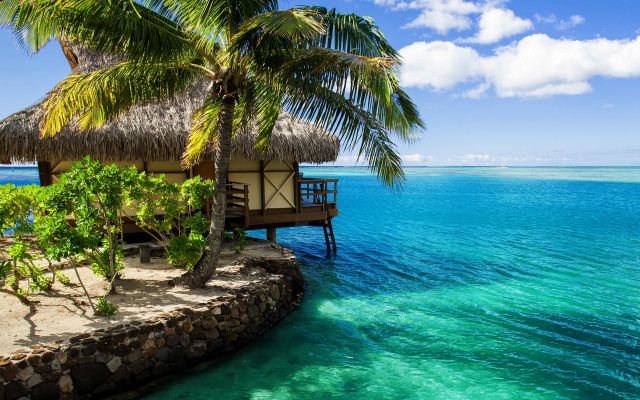 Hut beach palmtree dock boat free wallpaper for desktop - medium preview image