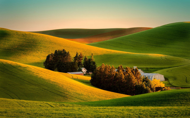 Green field house trees sunset free wallpaper for desktop - medium preview image