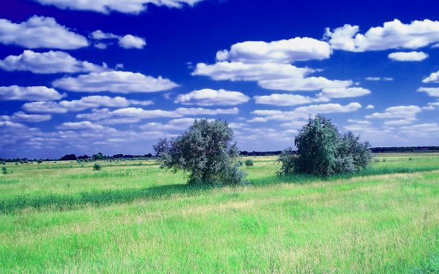 Blue sky clouds landscape field free wallpaper for desktop - medium preview image