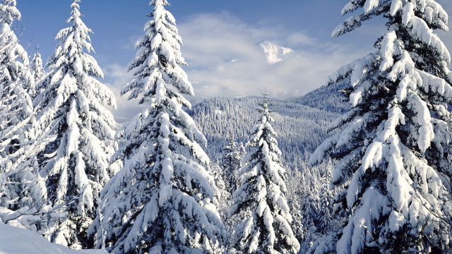Snowy mountain trees blue sky #18 free wallpaper for desktop - medium preview image