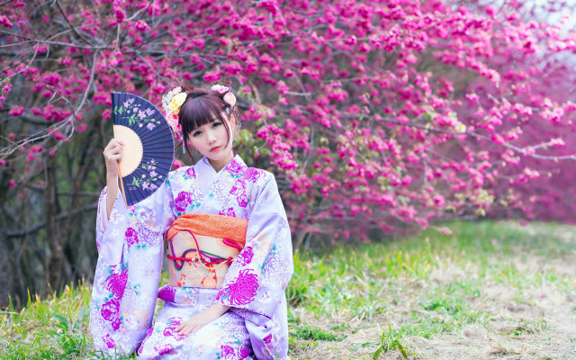 Woman kimono fan cherry blossom free wallpaper for desktop - medium preview image