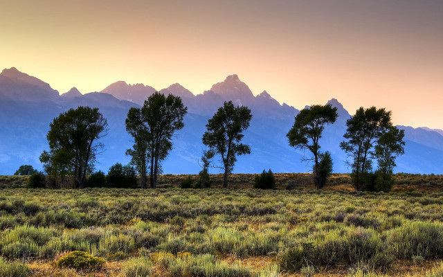 Sunset mountains trees lake forest free wallpaper for desktop - medium preview image