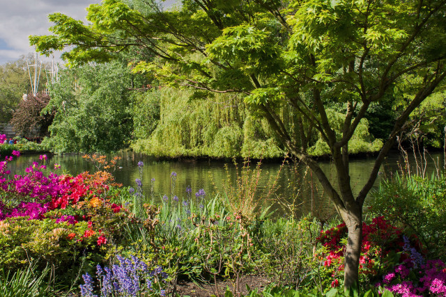 Pond flowers trees bridge summer free wallpaper for desktop - medium preview image