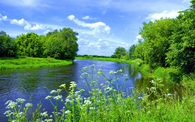 River forest sunny day impressionist free wallpaper for desktop - medium preview image