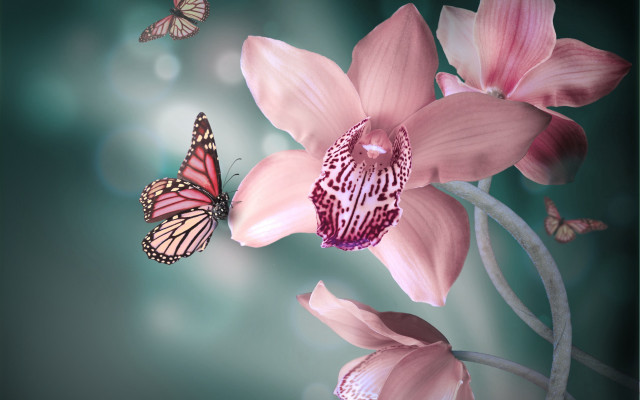 Pink flower butterflies digital painting free wallpaper for desktop - medium preview image