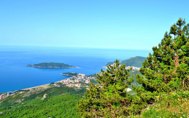 City water hill trees panorama free wallpaper for desktop - medium preview image