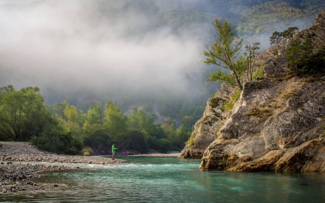River bank forest rocks green free wallpaper for desktop - medium preview image