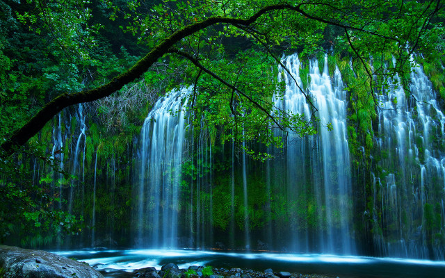 Waterfall tree river forest nature free wallpaper for desktop - medium preview image
