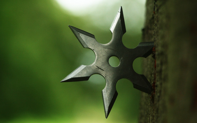 Metal star forest background sharp free wallpaper for desktop - medium preview image