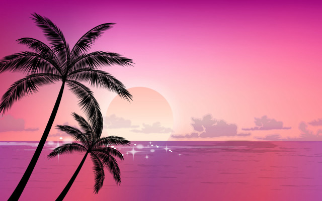 Palm tree water sunset pink free wallpaper for desktop - medium preview image