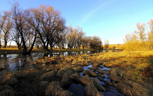 River trees grassy bushes autumn #2 free wallpaper for desktop - medium preview image