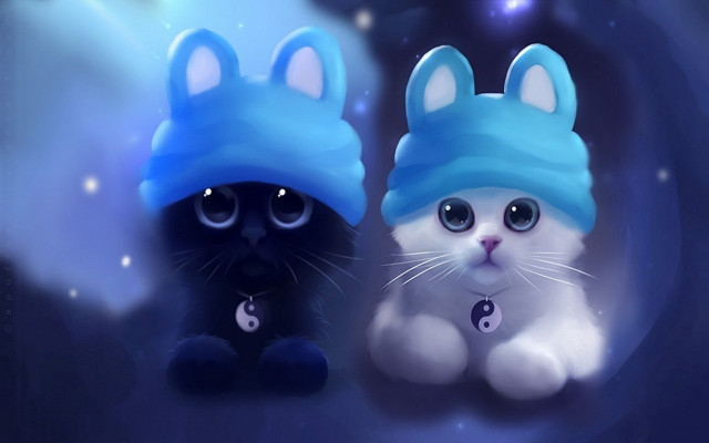 Two cats wearing hats blue free wallpaper for desktop - medium preview image