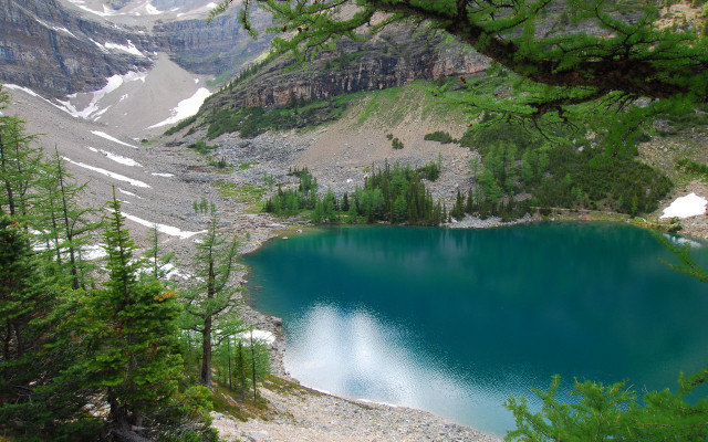 Lake mountains trees snow nature free wallpaper for desktop - medium preview image