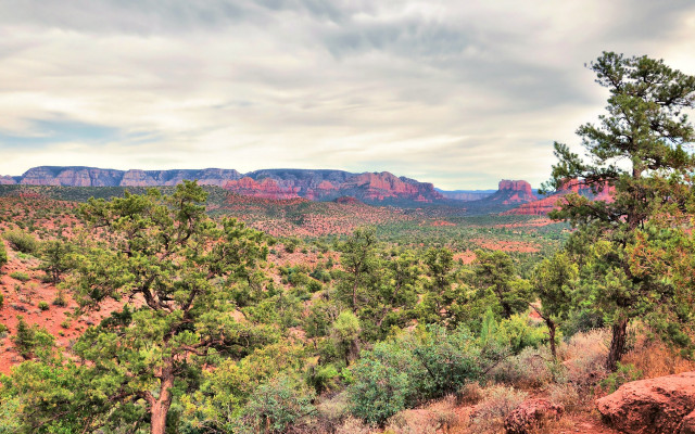 Mountain range forest bushes sky #2 free wallpaper for desktop - medium preview image