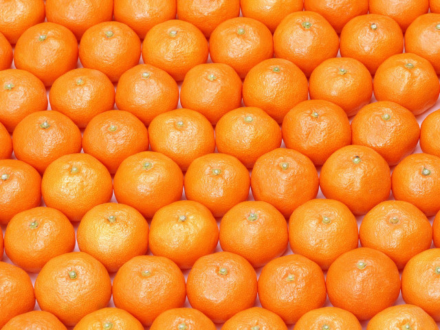 Oranges pile illusion halloween pumpkin free wallpaper for desktop - medium preview image