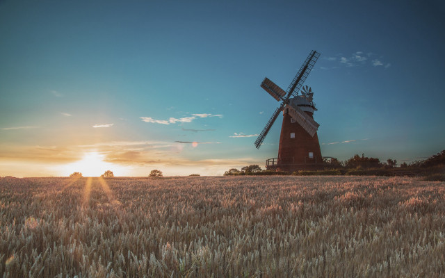 Windmill wheat field sunset tiltshift free wallpaper for desktop - medium preview image