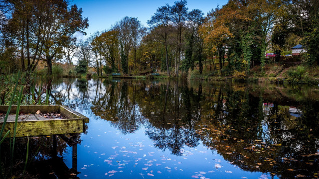 Small boat water dock leaves free wallpaper for desktop - medium preview image