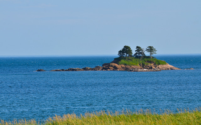 Small island trees ocean blue #3 free wallpaper for desktop - medium preview image