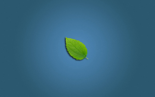 Green leaf blue surface light free wallpaper for desktop - medium preview image