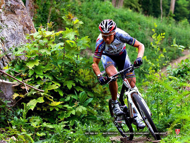 Man bike dirt road woods free wallpaper for desktop - medium preview image