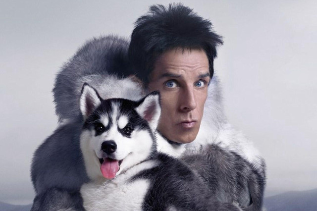 Man holding husky surprised mountain free wallpaper for desktop - medium preview image