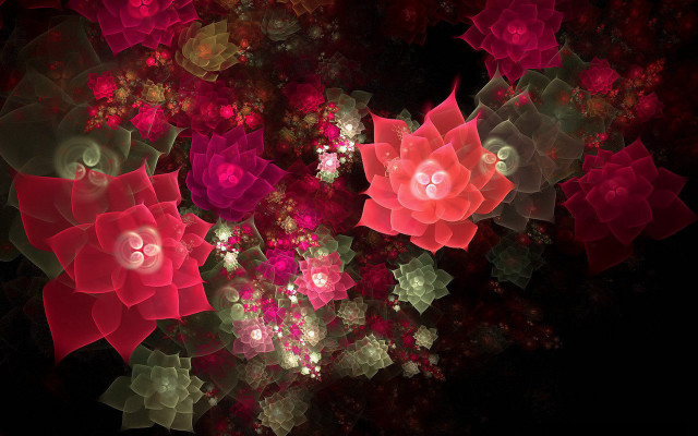 Red pink roses black background free wallpaper for desktop - medium preview image