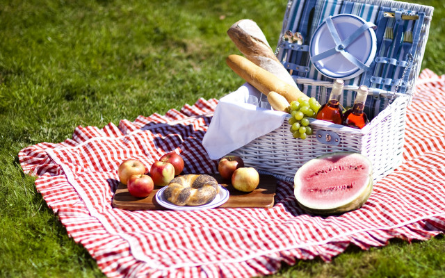 Picnic basket watermelon bread lawn free wallpaper for desktop - medium preview image