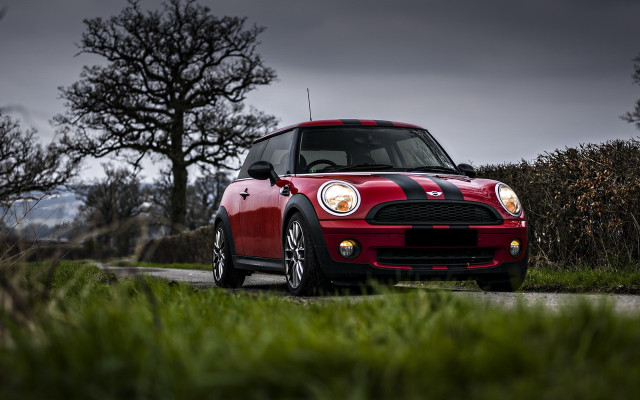 Red mini cooper road tree free wallpaper for desktop - medium preview image