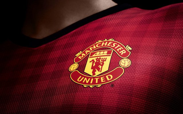 Man red shirt manchester united free wallpaper for desktop - medium preview image