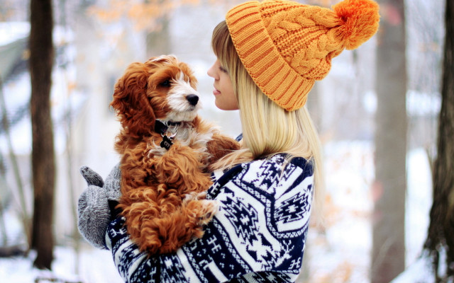 Woman dog snow forest blonde free wallpaper for desktop - medium preview image