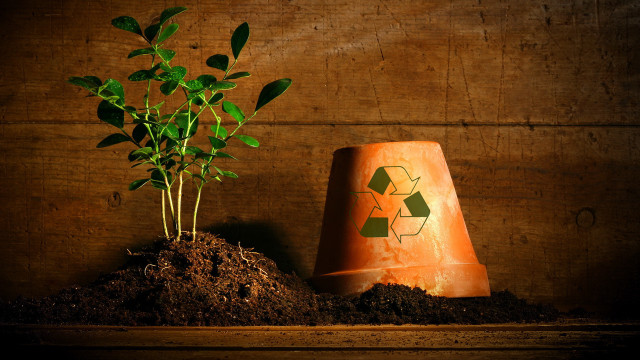 Plant dirt trash recycle solarpunk free wallpaper for desktop - medium preview image