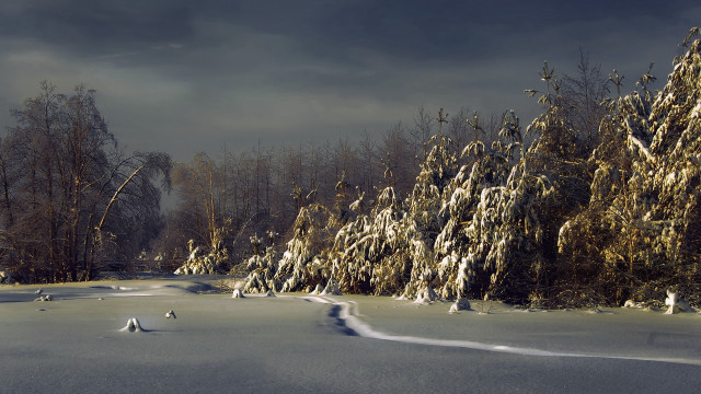 Snowy landscape trees path mountain free wallpaper for desktop - medium preview image