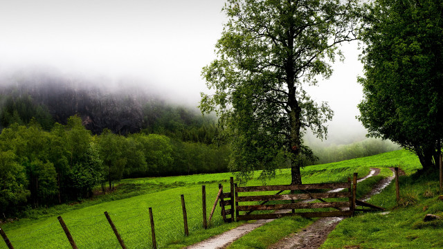 Wooden gate grassy field fog free wallpaper for desktop - medium preview image