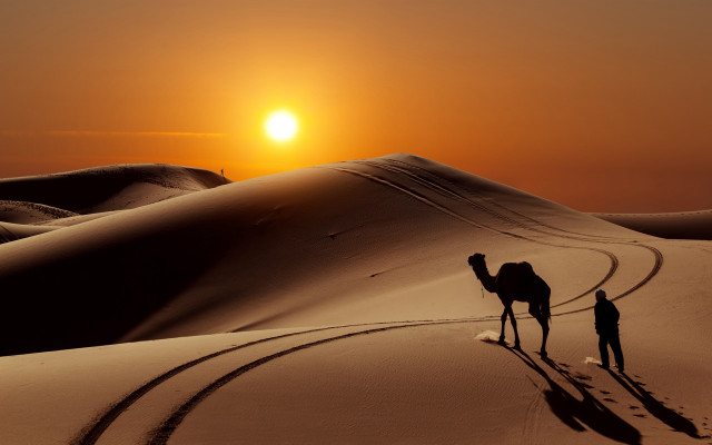 Desert sunset couple camel silhouette free wallpaper for desktop - medium preview image