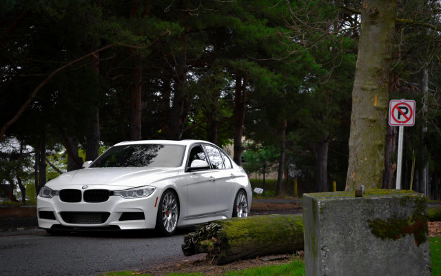 White car tree no parking free wallpaper for desktop - medium preview image