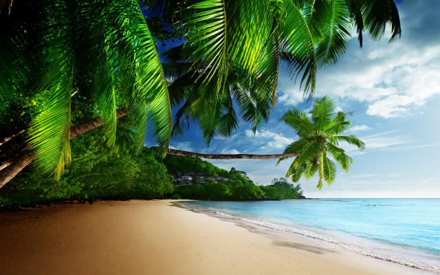 Beach palm tree house ocean #2 free wallpaper for desktop - medium preview image