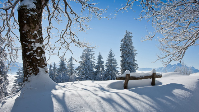 Snowy woodland bench mountain trees free wallpaper for desktop - medium preview image