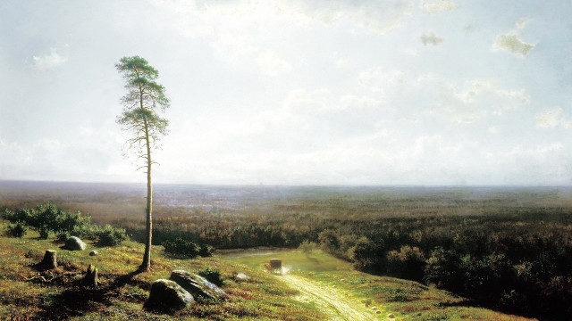 Tree hill path sheep outdoors free wallpaper for desktop - medium preview image