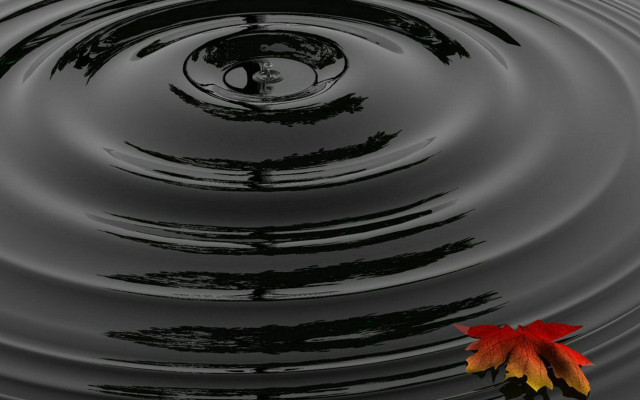 Red yellow leaf pond ripples free wallpaper for desktop - medium preview image