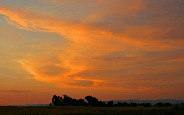 Sunset plane clouds trees cityscape free wallpaper for desktop - medium preview image