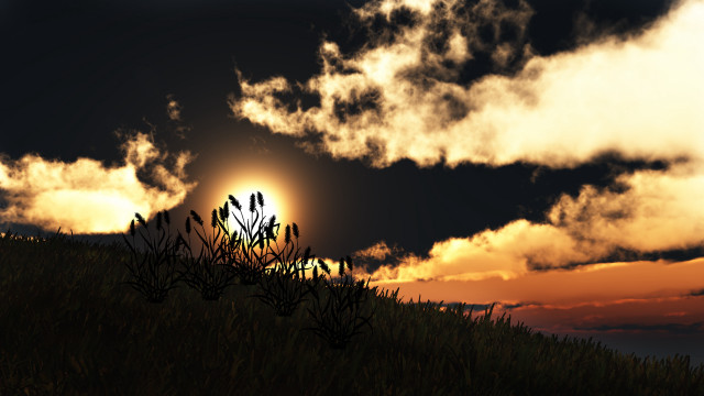 Sunset clouds sun tree field #2 free wallpaper for desktop - medium preview image