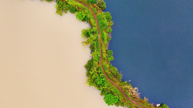 Train water trees aerial naturalism free wallpaper for desktop - medium preview image