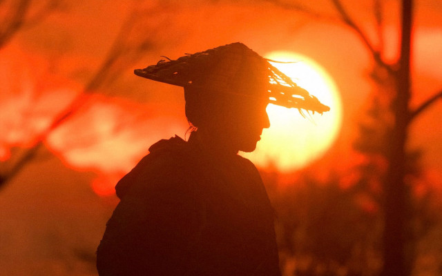 Person hat sunset trees blurry free wallpaper for desktop - medium preview image