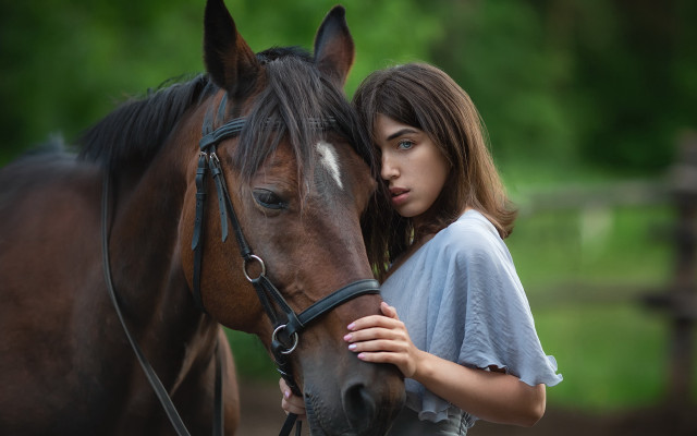 Woman horse field portrait romanticism free wallpaper for desktop - medium preview image