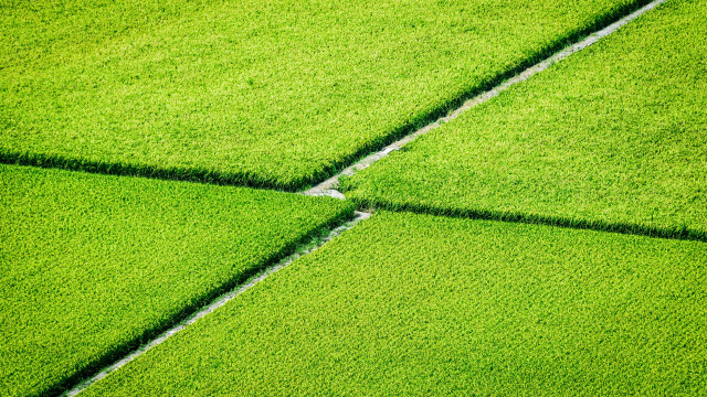 Green field grass patch fence free wallpaper for desktop - medium preview image