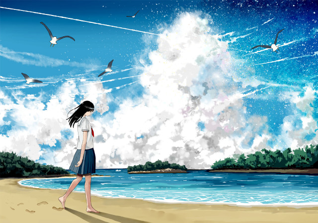 Girl walking beach birds flying free wallpaper for desktop - medium preview image
