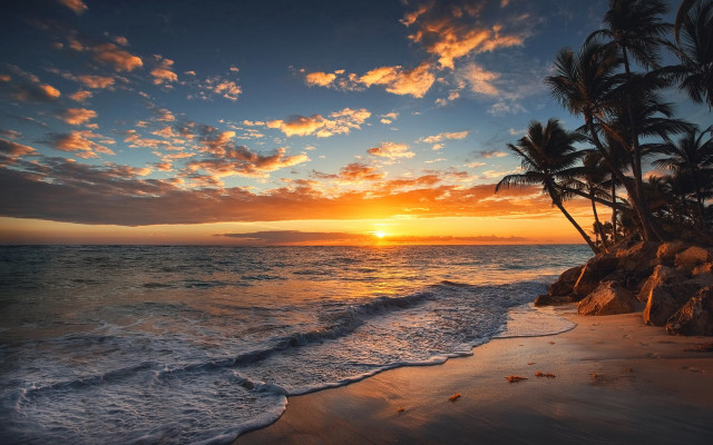 Sunset ocean palm trees rocky free wallpaper for desktop - medium preview image