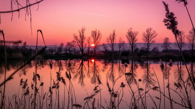 Sunset lake trees grass plane free wallpaper for desktop - medium preview image